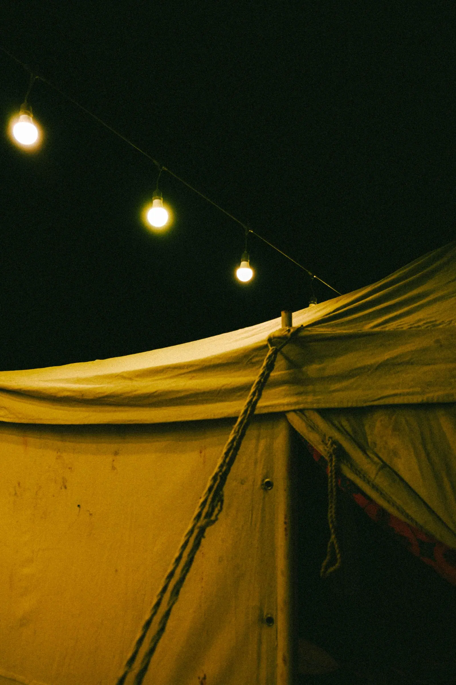 A row of warm string-light bulbs hanging over a tent.