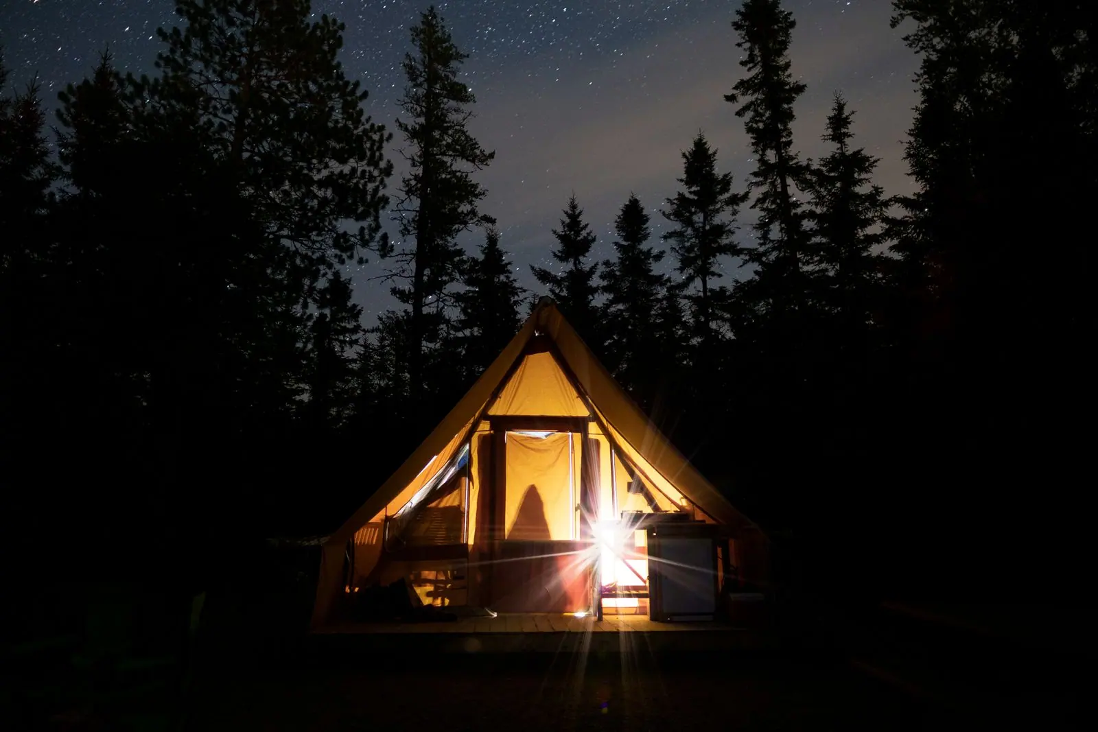 A glowing tent pitched among dark trees at night.